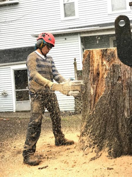 C & J Tree Services