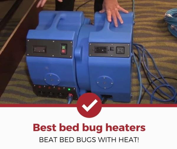 Kill Bed Bugs Houston