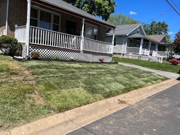 Maldonado Landscaping