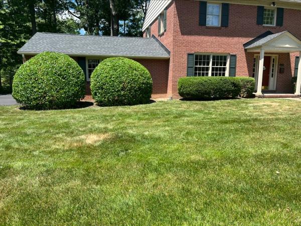 Maldonado Landscaping
