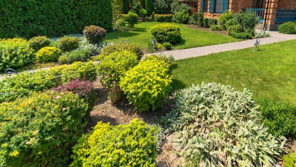 Stone Oak Landscapes LLC