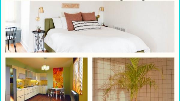 Ashley Earnest Cleaning & Home Maintenance