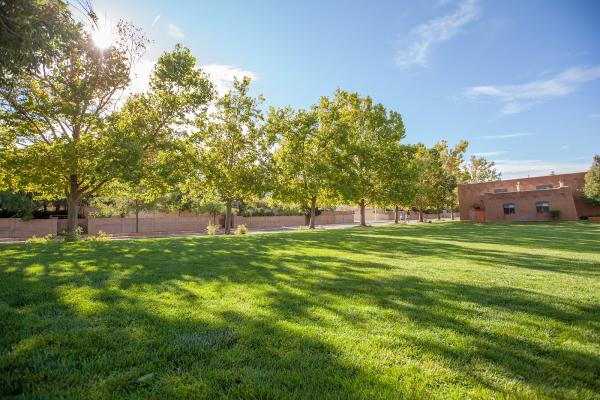 Green Summit Landscape Management