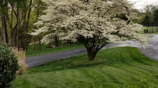 Second Nature Lawn Care