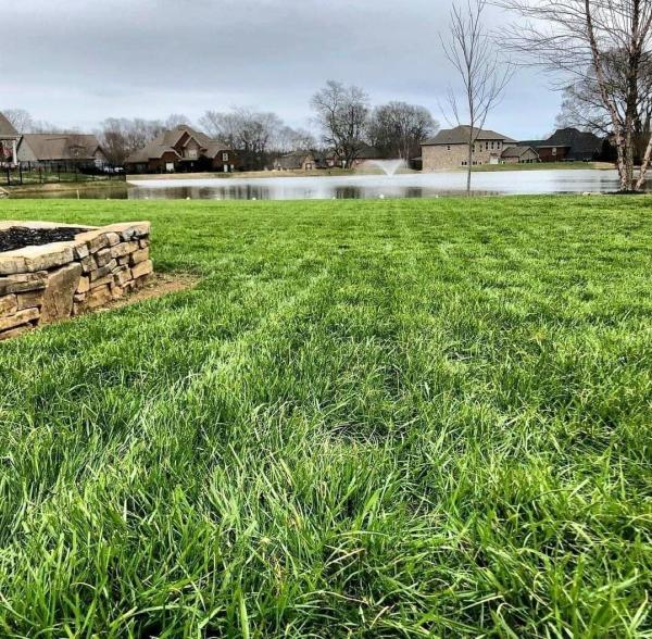 Second Nature Lawn Care