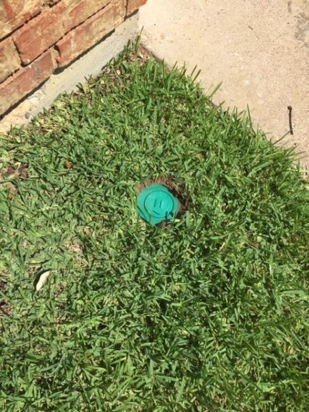 Sureguard Lawn & Pest