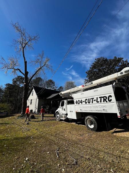 Ltrc-Tree Specialists