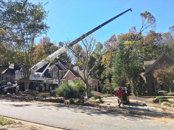 Ltrc-Tree Specialists