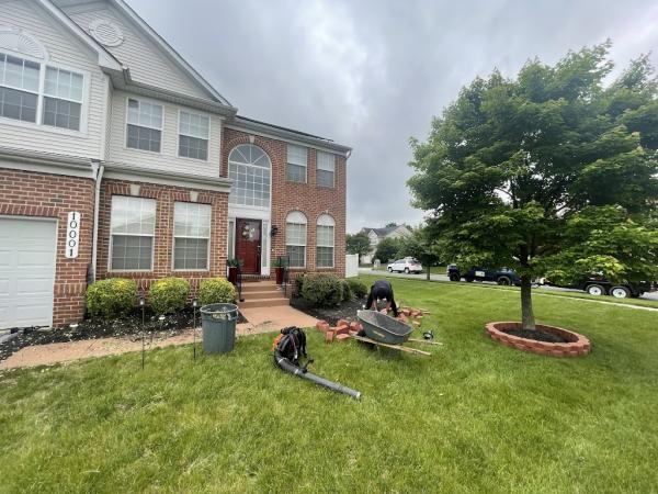 Ayala and Sons Landscape Tree Service LLC
