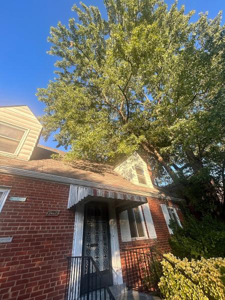 Ayala and Sons Landscape Tree Service LLC