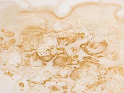 Q Mold Testing