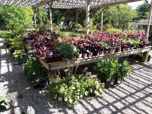 Oliver Nurseries