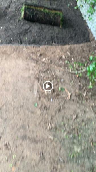 Dynamic Landscaping & Construcction LLC