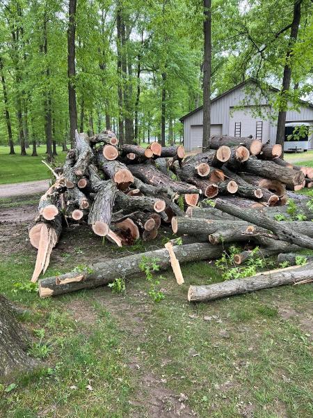 Central Ohio Tree Trimming Service