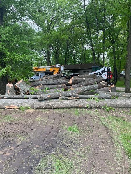 Central Ohio Tree Trimming Service