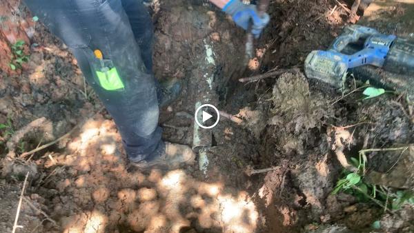 Straight Flush Septic