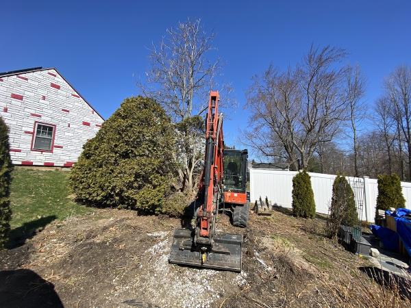 BBZ LLC (Stump Grinding/Excavation/Landscaping/Dumpster Rental)