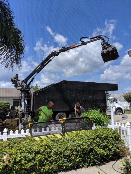 Airborne Tree Service