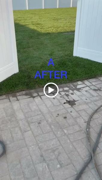 Professional Landscaping LLC