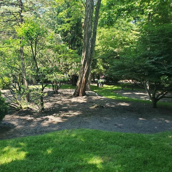 BPM Landscaping & Design
