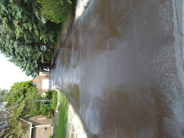 Dickys Blacktop
