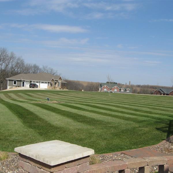 Mow
