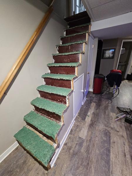 Professional Carpet & Upholstery Cleaning Plus LLC