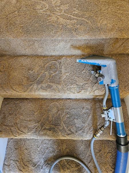 Professional Carpet & Upholstery Cleaning Plus LLC