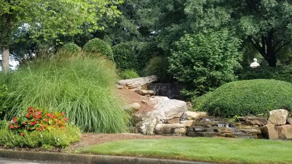 North Georgia Lawn