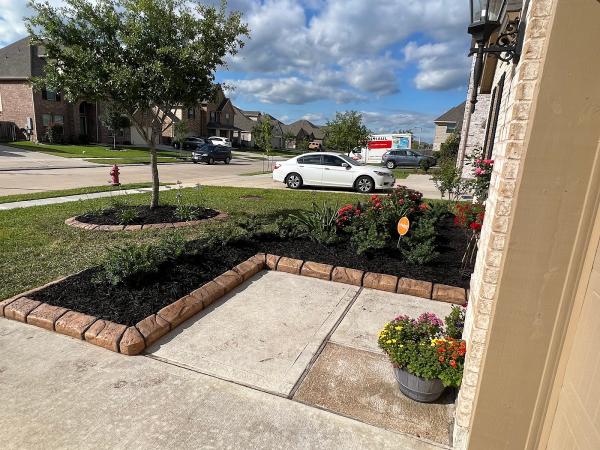 Texas Curb n Borders