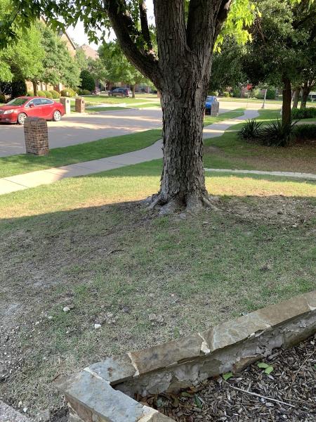 The Woodlands Sprinkler Repair