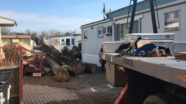 Whitcomb Tree Service
