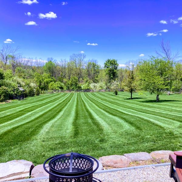 Bucks County Ecolawn LLC