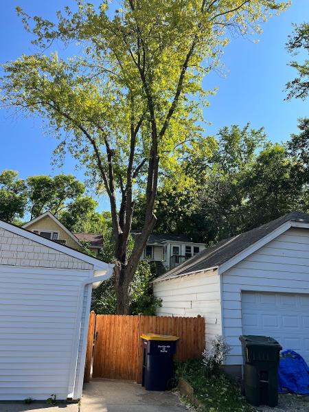 Dennis & Son Tree Service