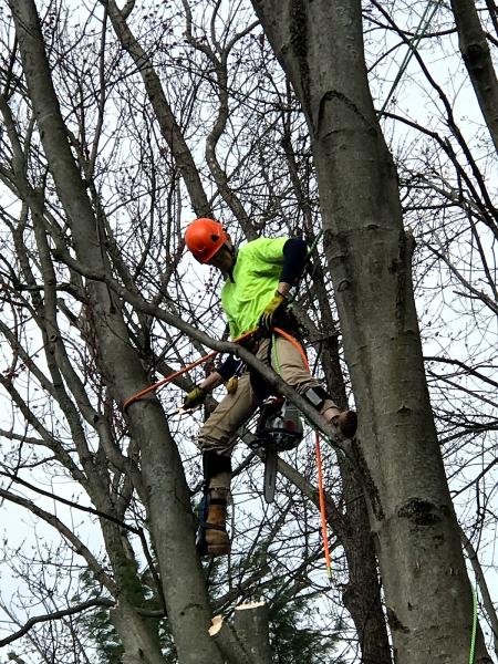 Preble's Tree Service