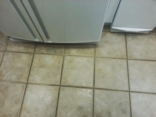 Premium Carpet