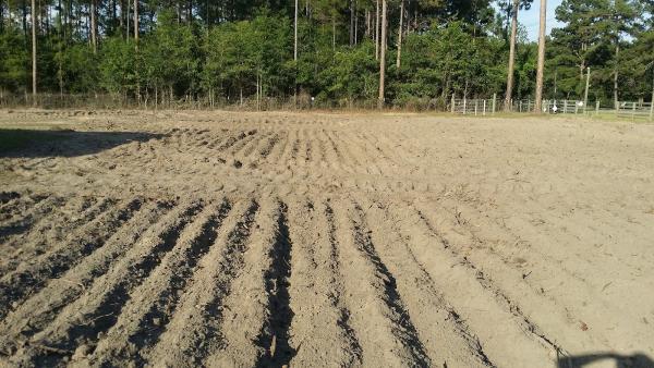 Allen's Land Clearing LLC