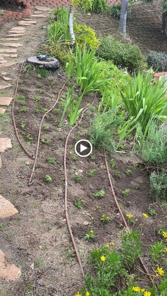 Antonio Ochoa Landscaping