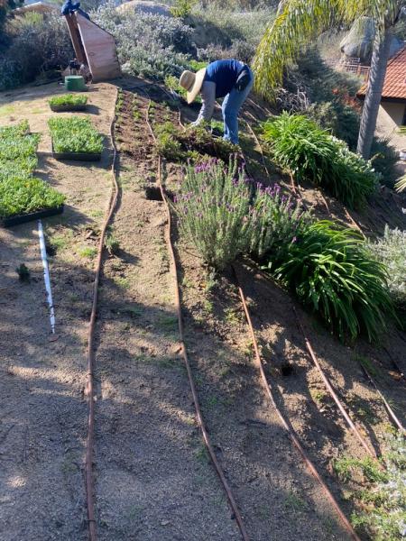 Antonio Ochoa Landscaping