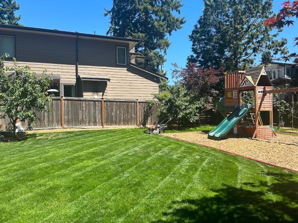 Omar's Landscaping