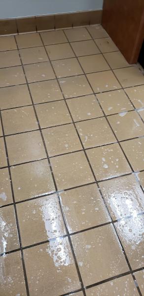Rigo's Cleaning Services