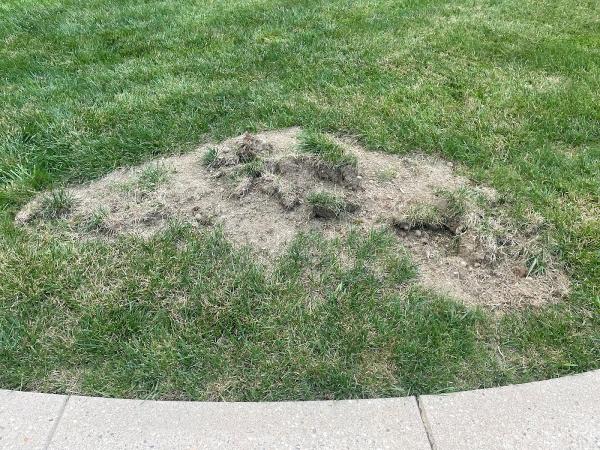 Fisk Septic Pumping