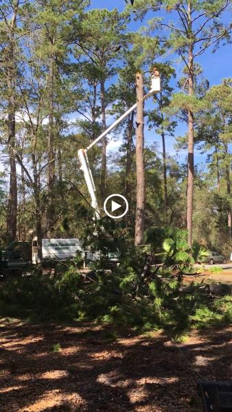 Tree & Equipment Service
