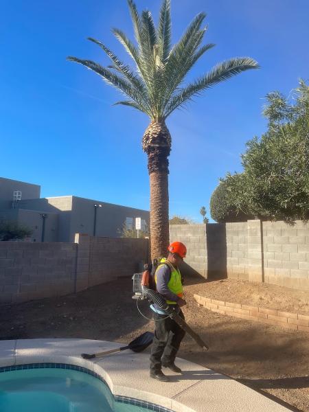 Mayscape Tree Trimmers