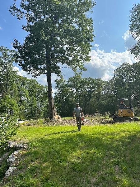 Lone Pine Tree Service