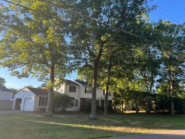 Gate City Tree Service