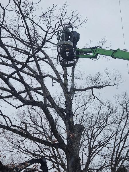 Gate City Tree Service