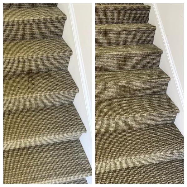 Spotless Clean and Carpet Care