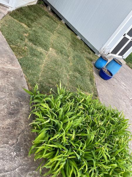 L & N Lawncare Services