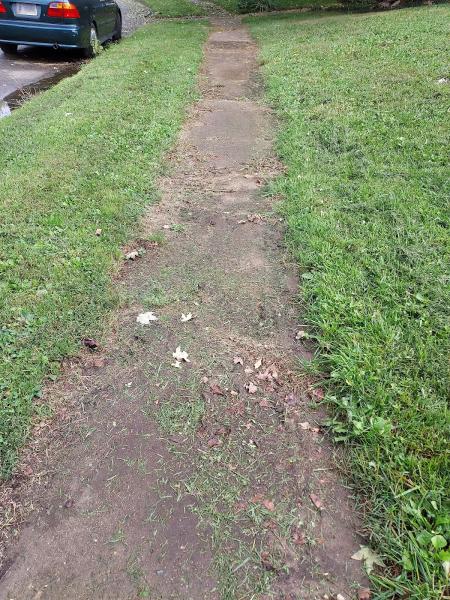 L & N Lawncare Services